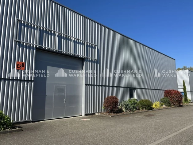 Location entrepôts / activités Bischheim Cushman & Wakefield