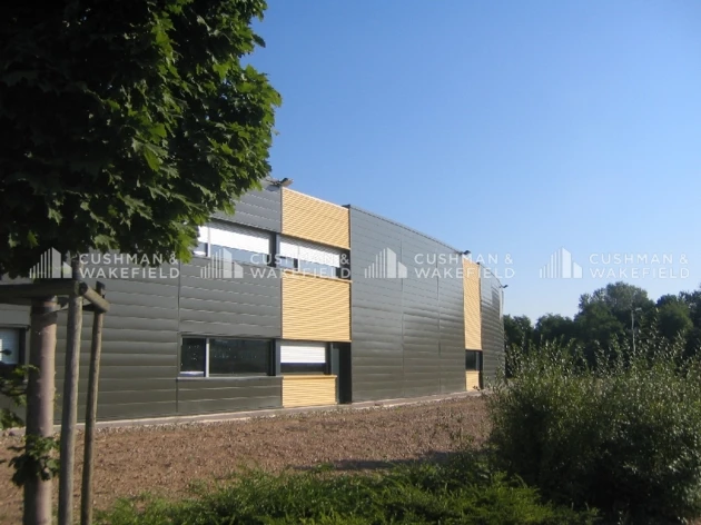 Location entrepôts / activités Altorf Cushman & Wakefield