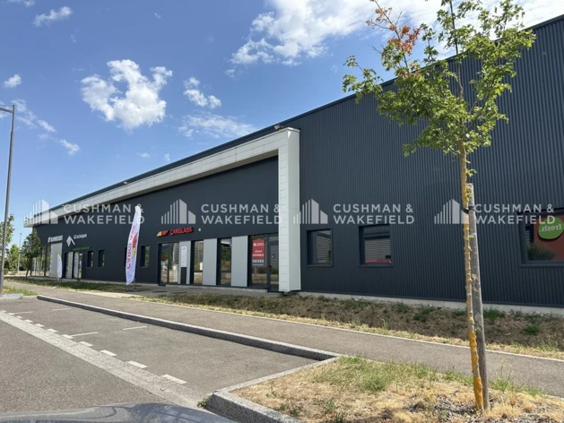 Achat entrepôts / activités Obernai Cushman & Wakefield