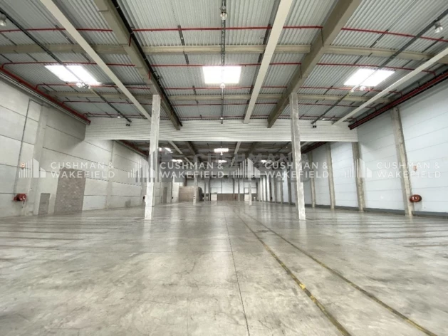Location logistique Strasbourg Cushman & Wakefield