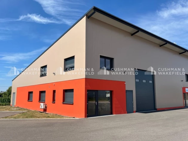 Location entrepôts / activités Benfeld Cushman & Wakefield