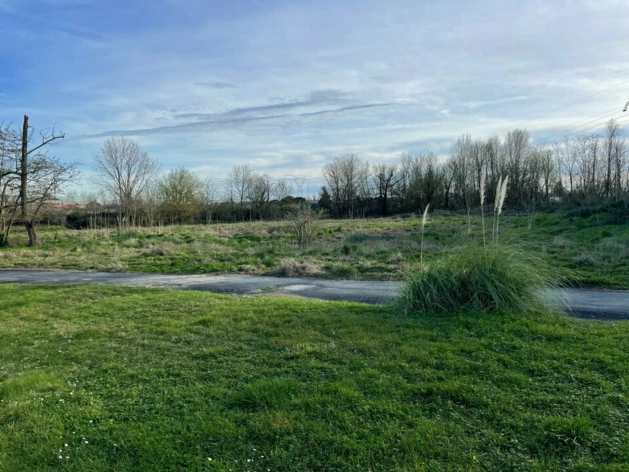 Location terrains Carbon-Blanc Cushman & Wakefield