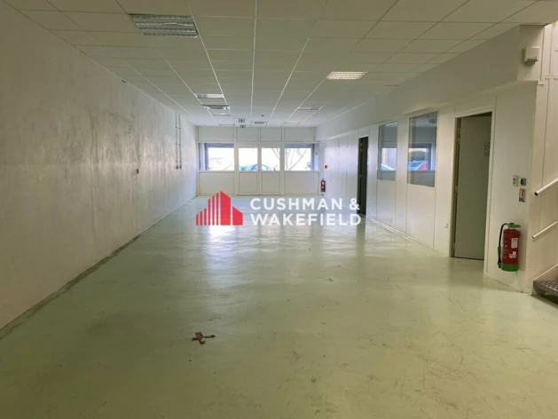 Location entrepôts / activités Colomiers Cushman & Wakefield