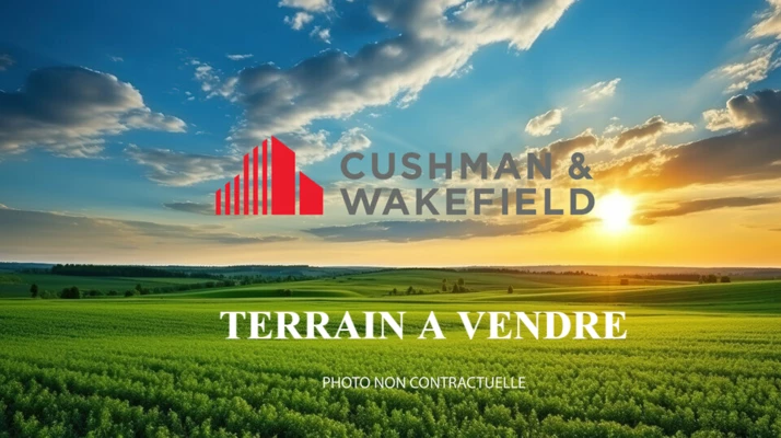 Achat terrains Saint-Sulpice-la-Pointe Cushman & Wakefield