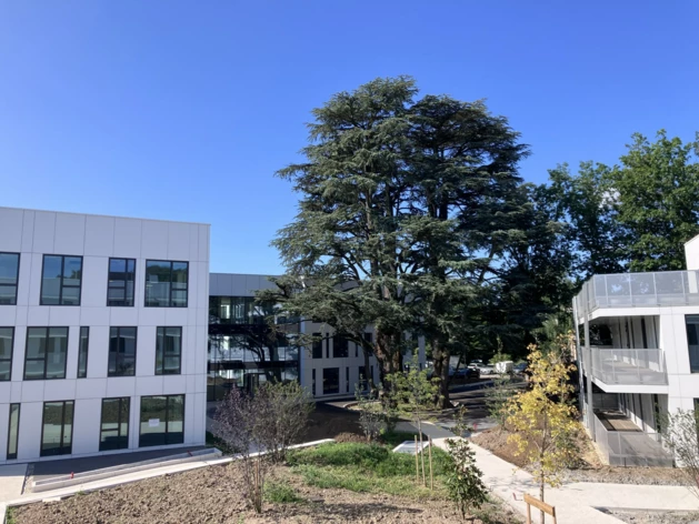 Achat ou Location bureaux Limonest Cushman & Wakefield