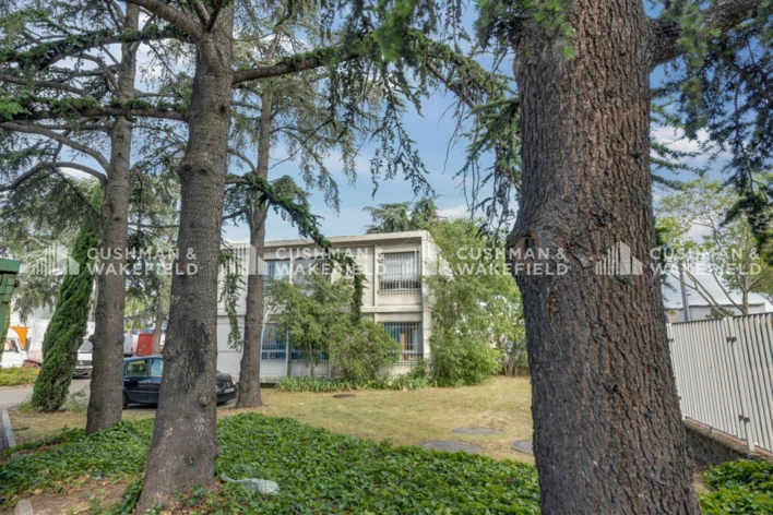 Location bureaux Vénissieux Cushman & Wakefield