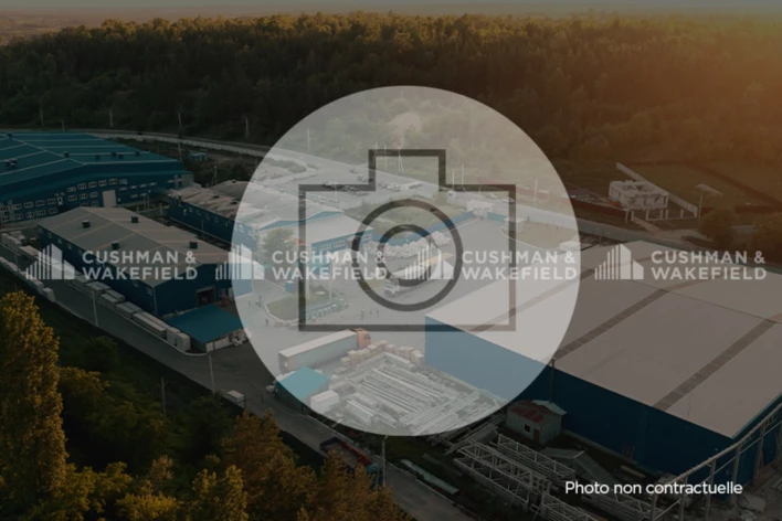 Location logistique Seclin Cushman & Wakefield