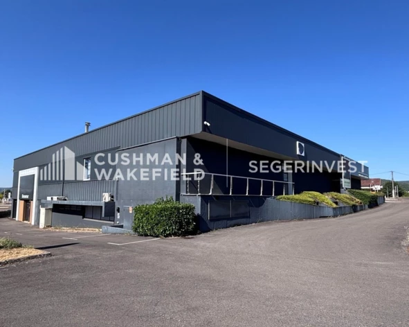 Achat commerces Perrigny-lès-Dijon Cushman & Wakefield
