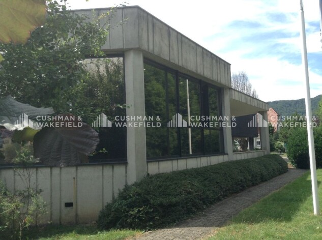 Achat bureaux Niederbronn-les-Bains Cushman & Wakefield