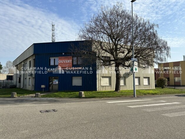 Location entrepôts / activités Eckbolsheim Cushman & Wakefield