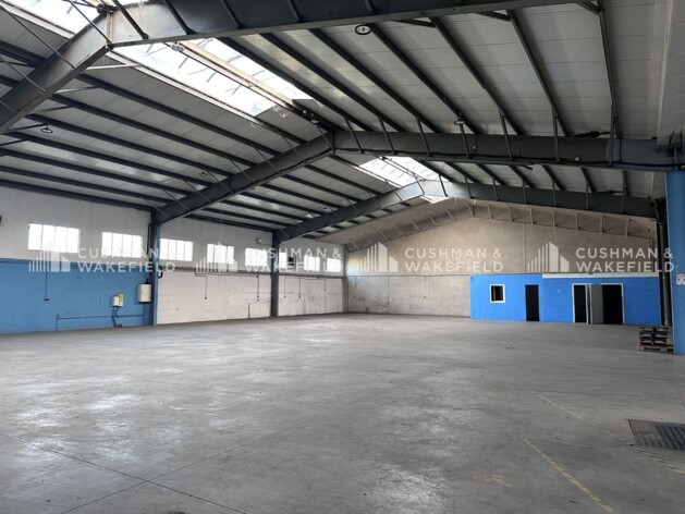 Location entrepôts / activités Lingolsheim Cushman & Wakefield
