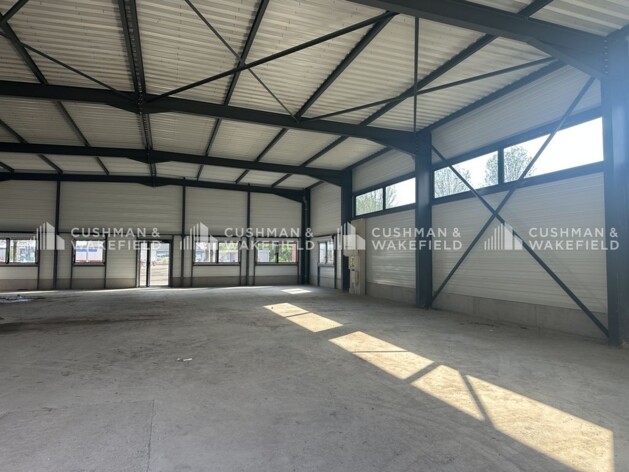 Location entrepôts / activités Haguenau Cushman & Wakefield