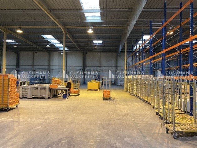 Achat entrepôts / activités Hoerdt Cushman & Wakefield