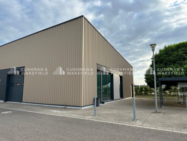 Location entrepôts / activités Strasbourg Cushman & Wakefield