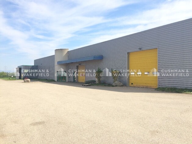 Location entrepôts / activités Reichstett Cushman & Wakefield