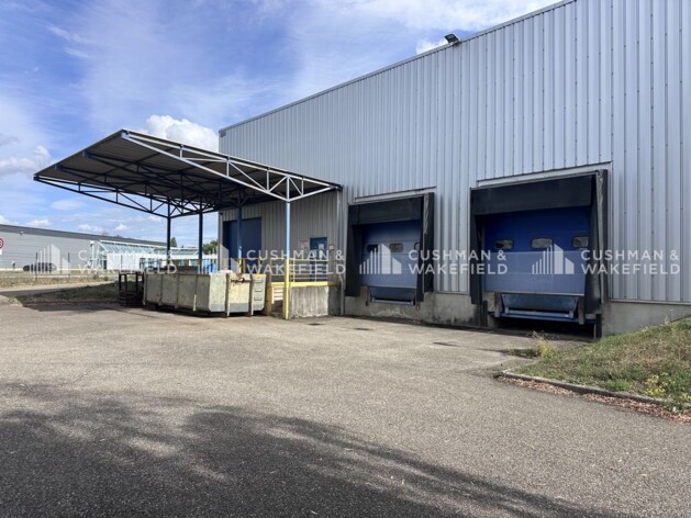 Achat entrepôts / activités Griesheim-près-Molsheim Cushman & Wakefield