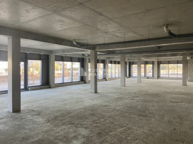 Location commerces Bruges Cushman & Wakefield