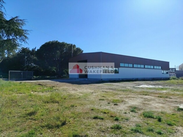 Location entrepôts / activités Bouillargues Cushman & Wakefield