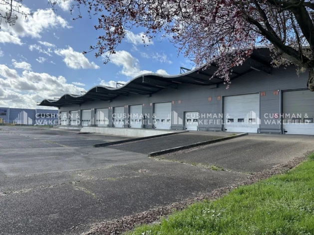 Achat ou Location logistique Souffelweyersheim Cushman & Wakefield