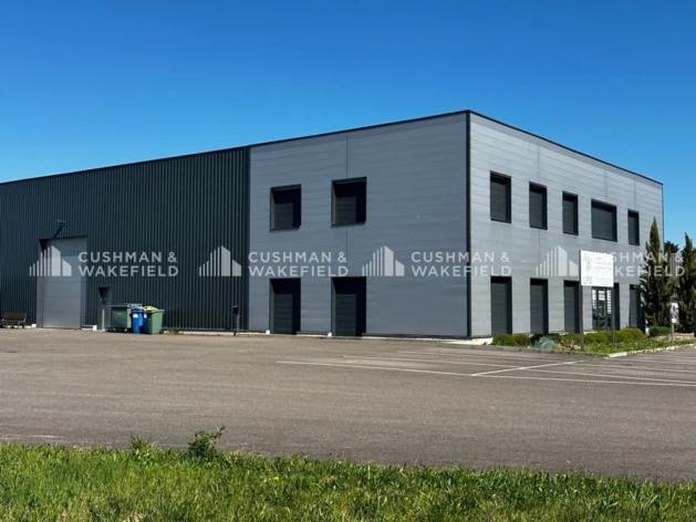 Location entrepôts / activités Ernolsheim-Bruche Cushman & Wakefield