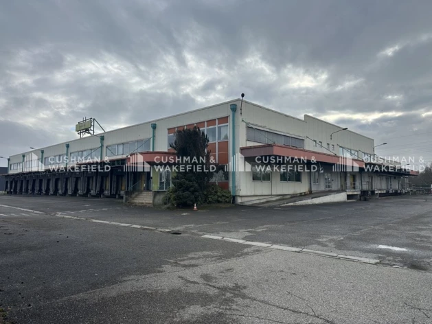 Achat logistique Illkirch-Graffenstaden Cushman & Wakefield