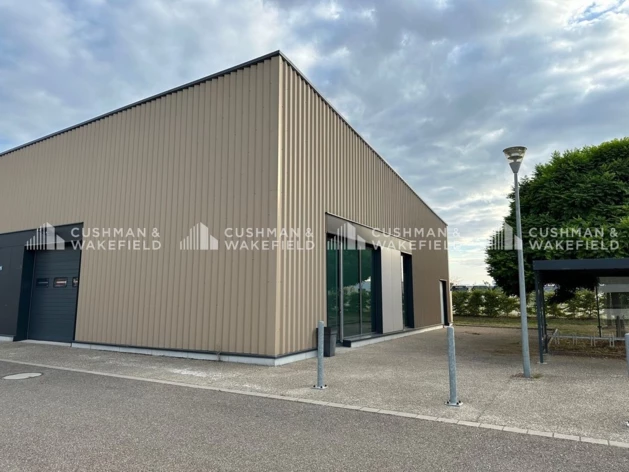Location entrepôts / activités Strasbourg Cushman & Wakefield