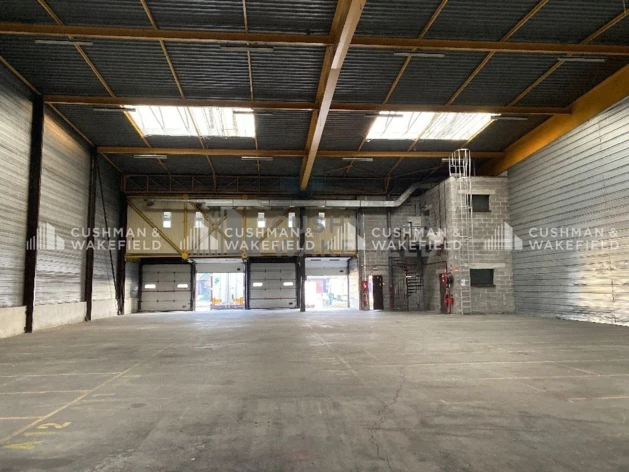 Location logistique Strasbourg Cushman & Wakefield