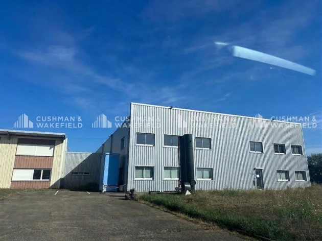Achat entrepôts / activités Duttlenheim Cushman & Wakefield