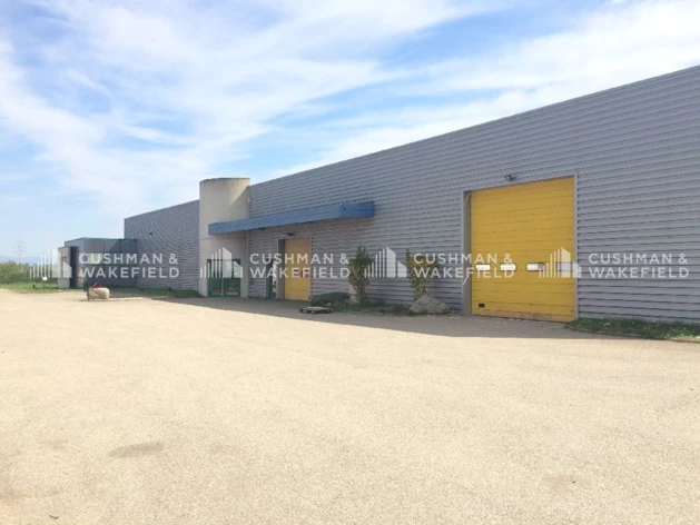 Location entrepôts / activités Reichstett Cushman & Wakefield