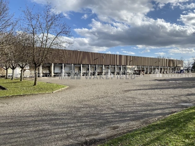 Location logistique Strasbourg Cushman & Wakefield