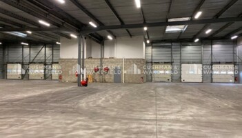 Location logistique Strasbourg Cushman & Wakefield