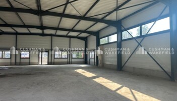 Location entrepôts / activités Haguenau Cushman & Wakefield
