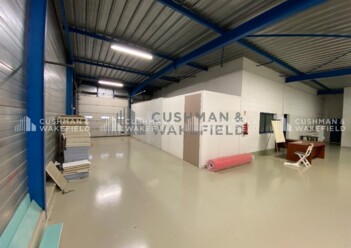 Location entrepôt / activités Geispolsheim Cushman & Wakefield