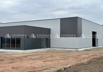 Location entrepôt / activités Geispolsheim Cushman & Wakefield