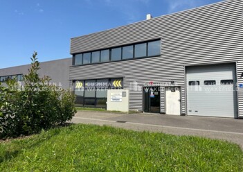 Location entrepôts / activités Hoenheim Cushman & Wakefield