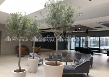 Location bureaux Illkirch-Graffenstaden Cushman & Wakefield