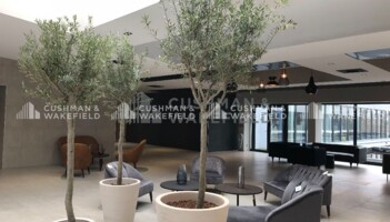 Location bureaux Illkirch-Graffenstaden Cushman & Wakefield