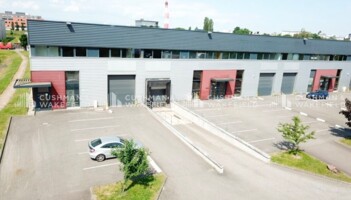 Location entrepôts / activités Strasbourg Cushman & Wakefield