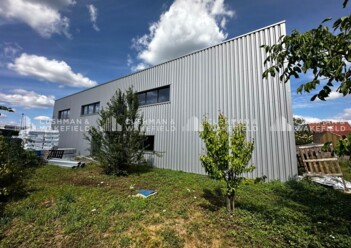 Location entrepôts / activités Schiltigheim Cushman & Wakefield