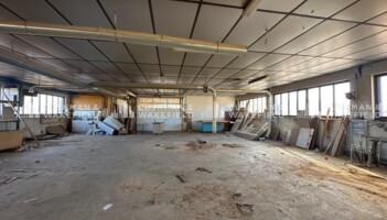 Achat entrepôts / activités Marlenheim Cushman & Wakefield