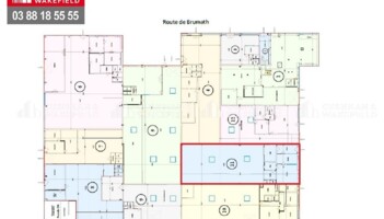 Location entrepôts / activités Vendenheim Cushman & Wakefield