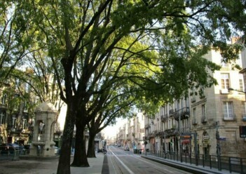 Location bureaux Bordeaux Cushman & Wakefield