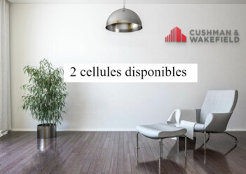 Location commerces Nîmes Cushman & Wakefield