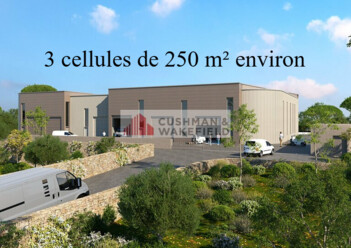 Achat entrepôts / activités Saint-Georges-d'Orques Cushman & Wakefield