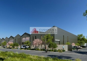 Achat entrepôt / activités Lattes Cushman & Wakefield