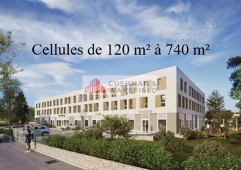 Achat bureaux Lattes Cushman & Wakefield