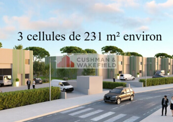 Achat entrepôts / activités Perpignan Cushman & Wakefield