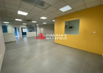 Location entrepôts / activités Toulouse Cushman & Wakefield